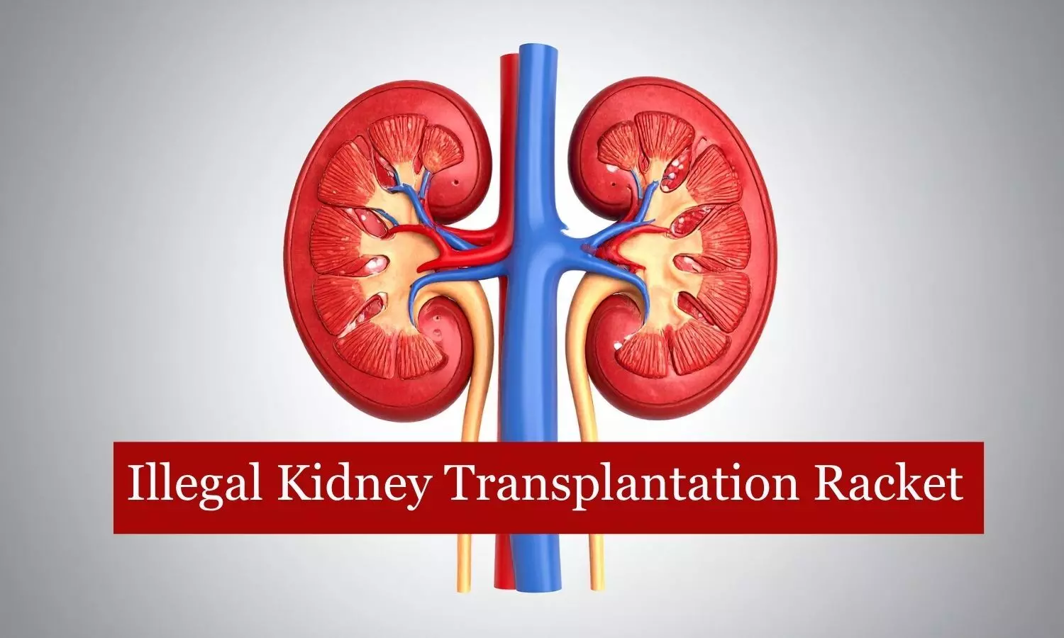 Legal technicalities misused in kidney transplant racket: TN Health Minister Subramanian