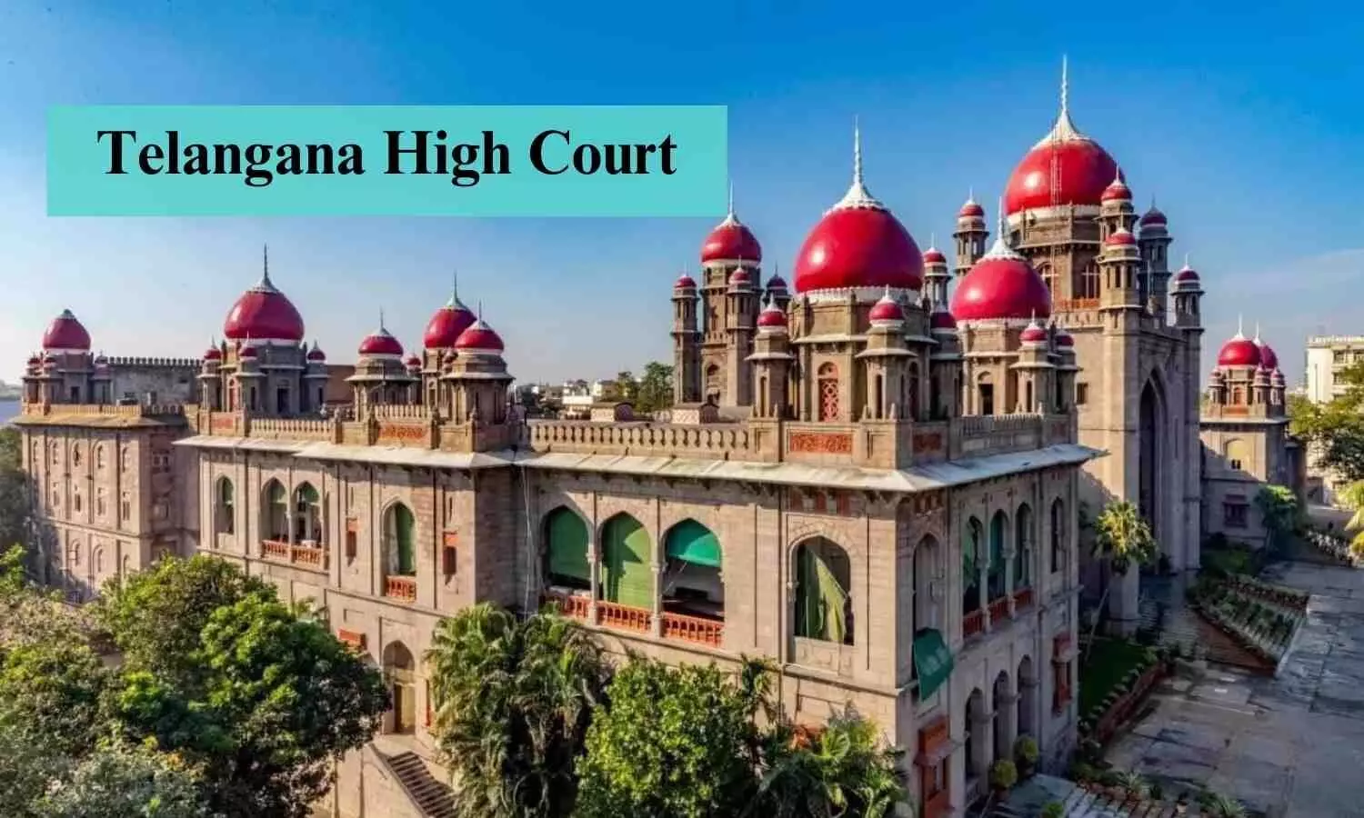 Telangana HC grants interim relief, allows student as local candidate for MBBS admission