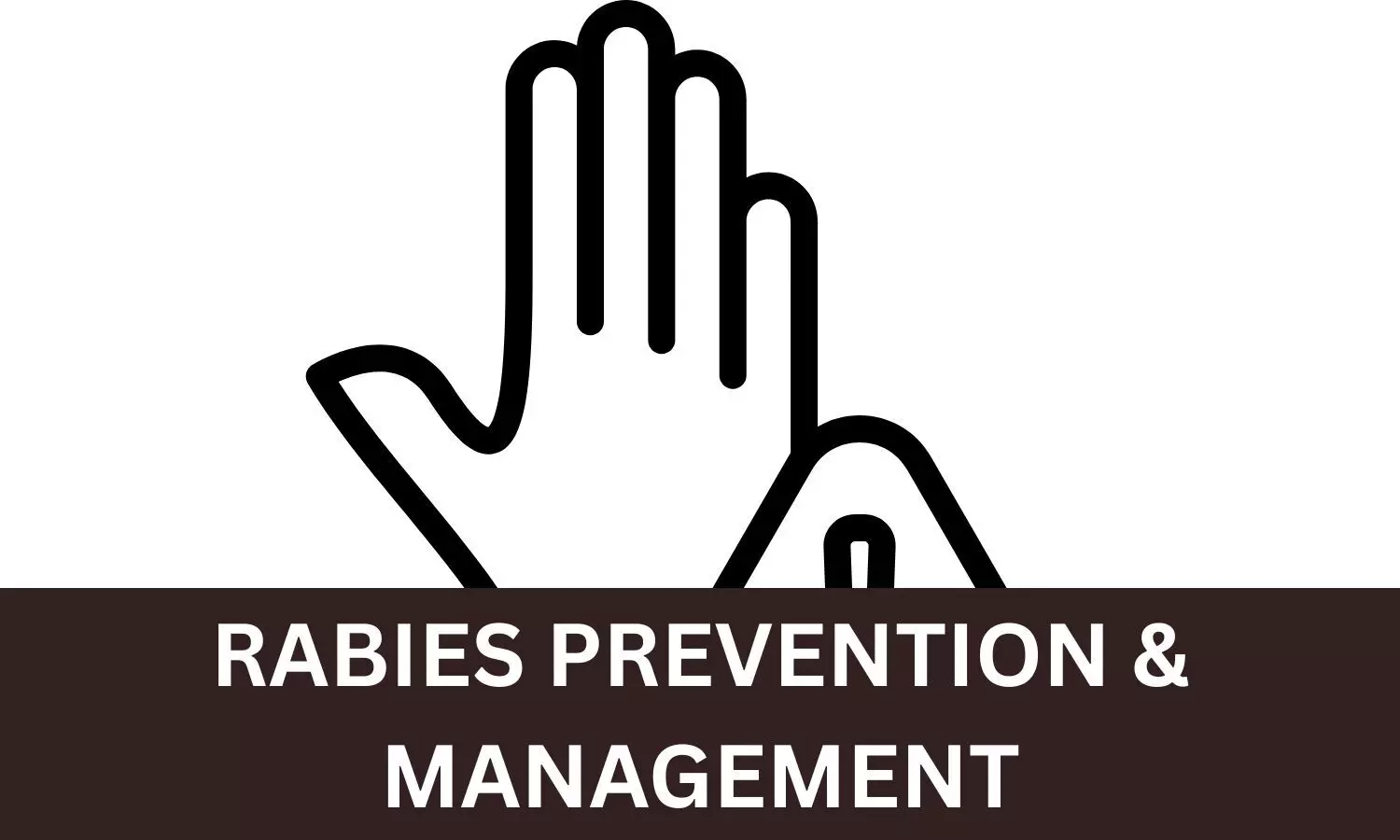 NMC issues advisory for medical colleges on rabies management