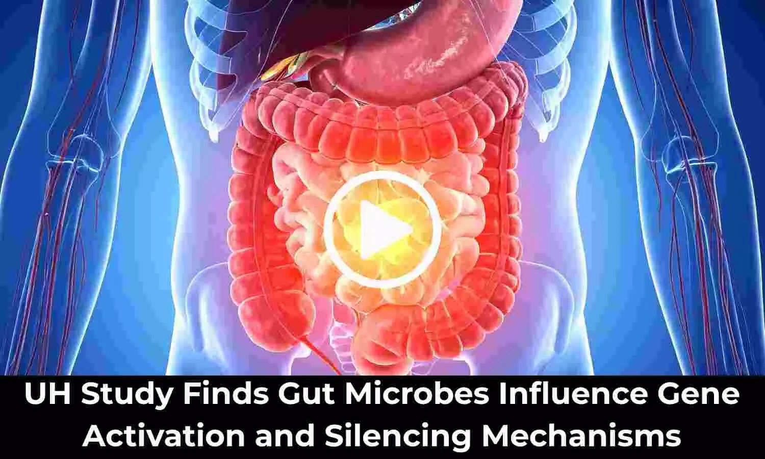 UH Study Finds Gut Microbes Influence Gene Activation and Silencing Mechanisms