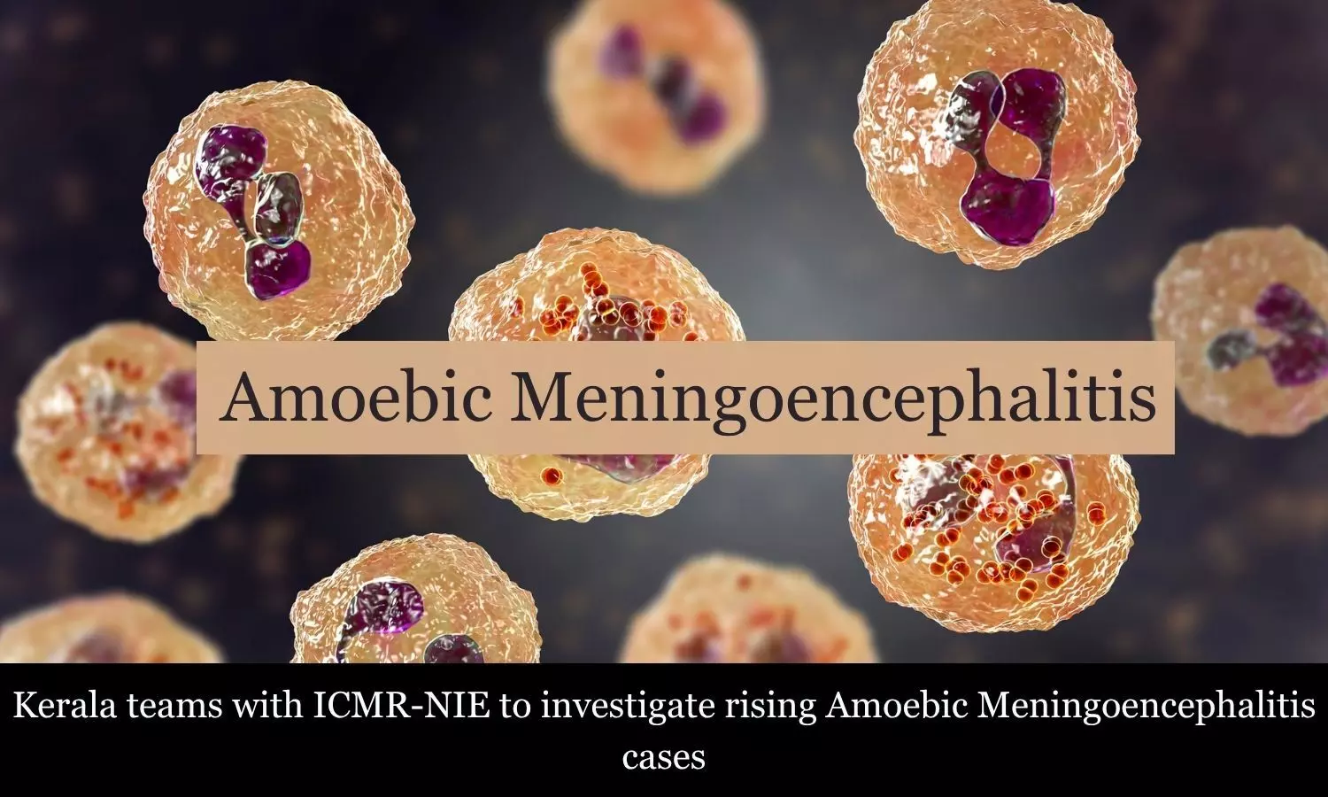 Kerala, ICMR-NIE to study surge in Amoebic Meningoencephalitis cases