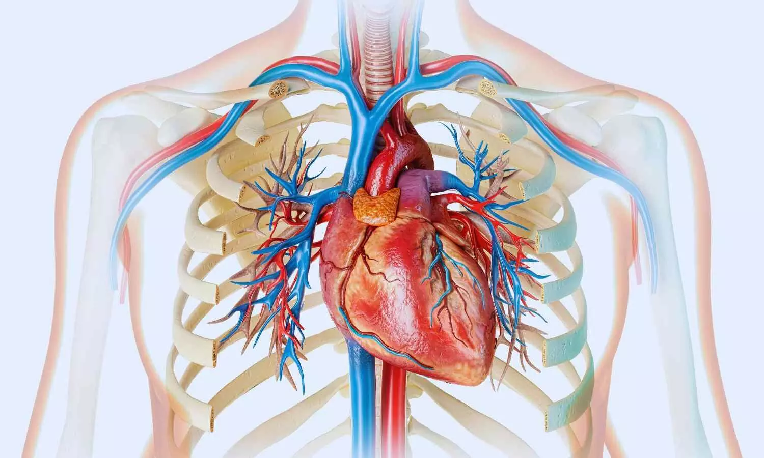 Aficamten superior to metoprolol for symptomatic obstructive hypertrophic cardiomyopathy: ESC Study
