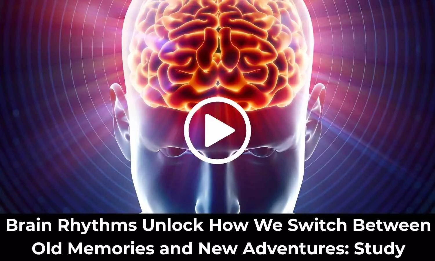 Brain Rhythms Unlock How We Switch Between Old Memories and New Adventures: Study