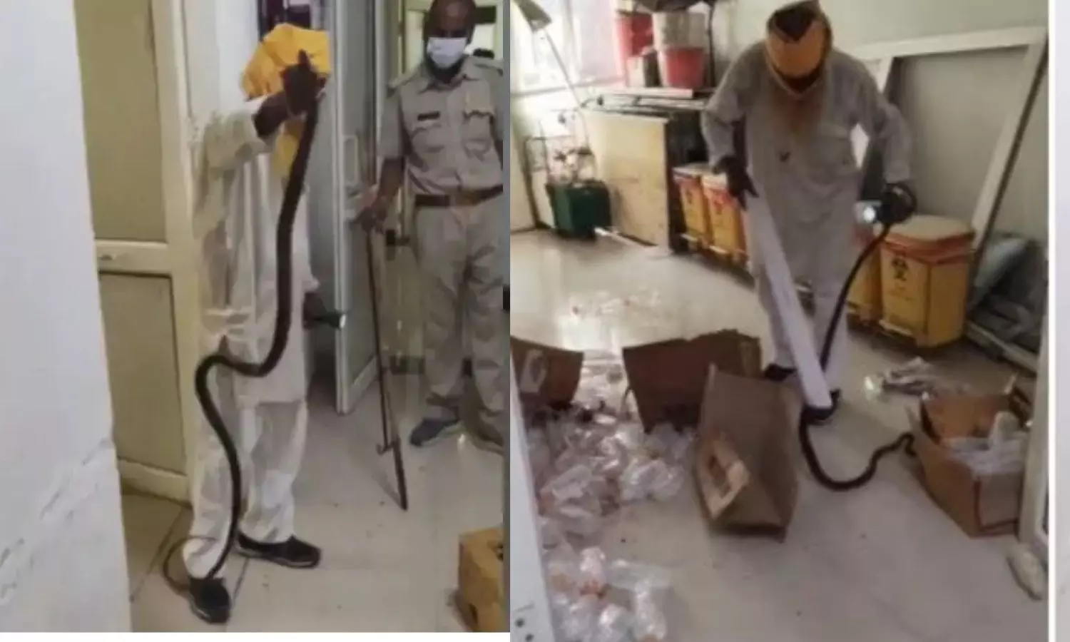 Snake found in Jhansi Hospital OT sparks panic