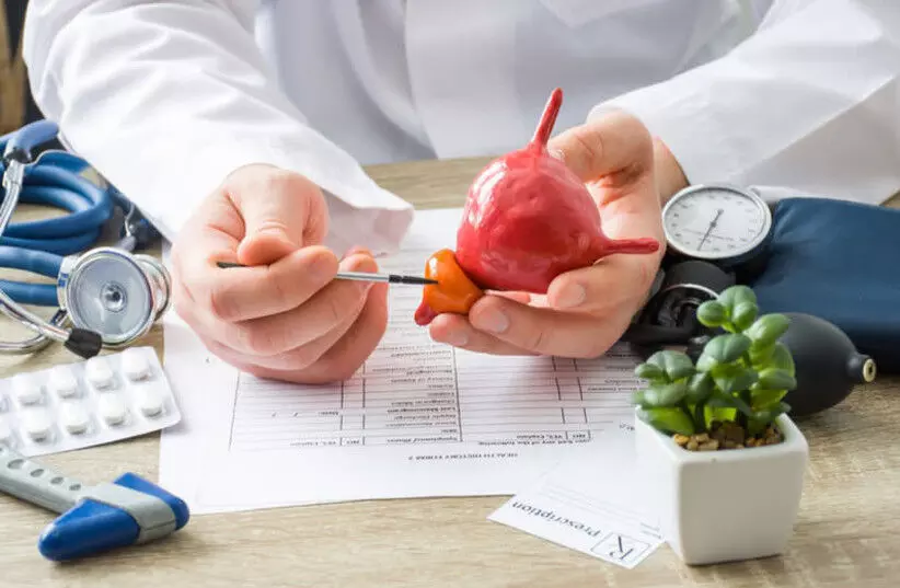 CDSCO Panel Flags Inadequate Data, Withholds Pilot Study Nod for BPH Pulse Field Ablation Device