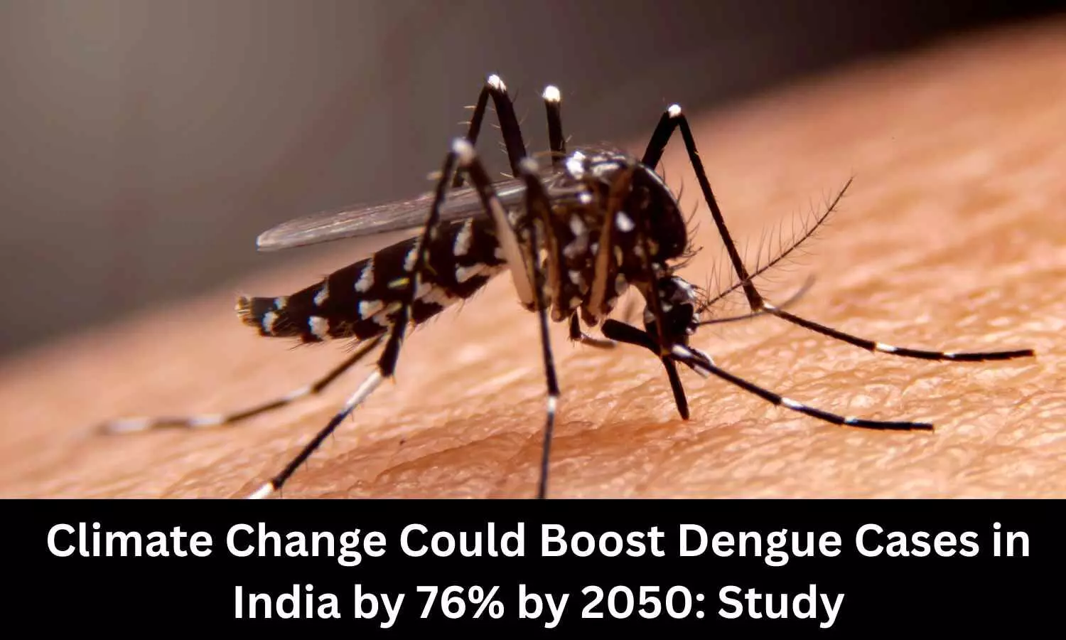 Climate Change could increase dengue cases in India by 76% by 2050: Study