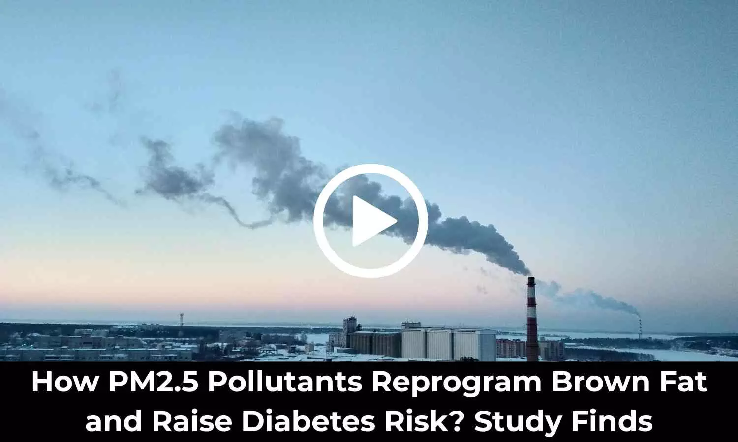 How PM2.5 Pollutants Reprogram Brown Fat and Raise Diabetes Risk? Study Provides Insights