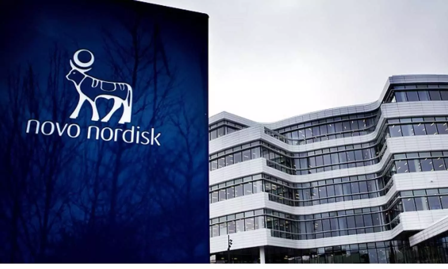 Novo Nordisk Gets CDSCO Panel Nod for Rybelsus Label Update, Aligned with EMA